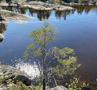 Отзыв