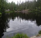 Отзыв