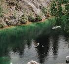 Отзыв